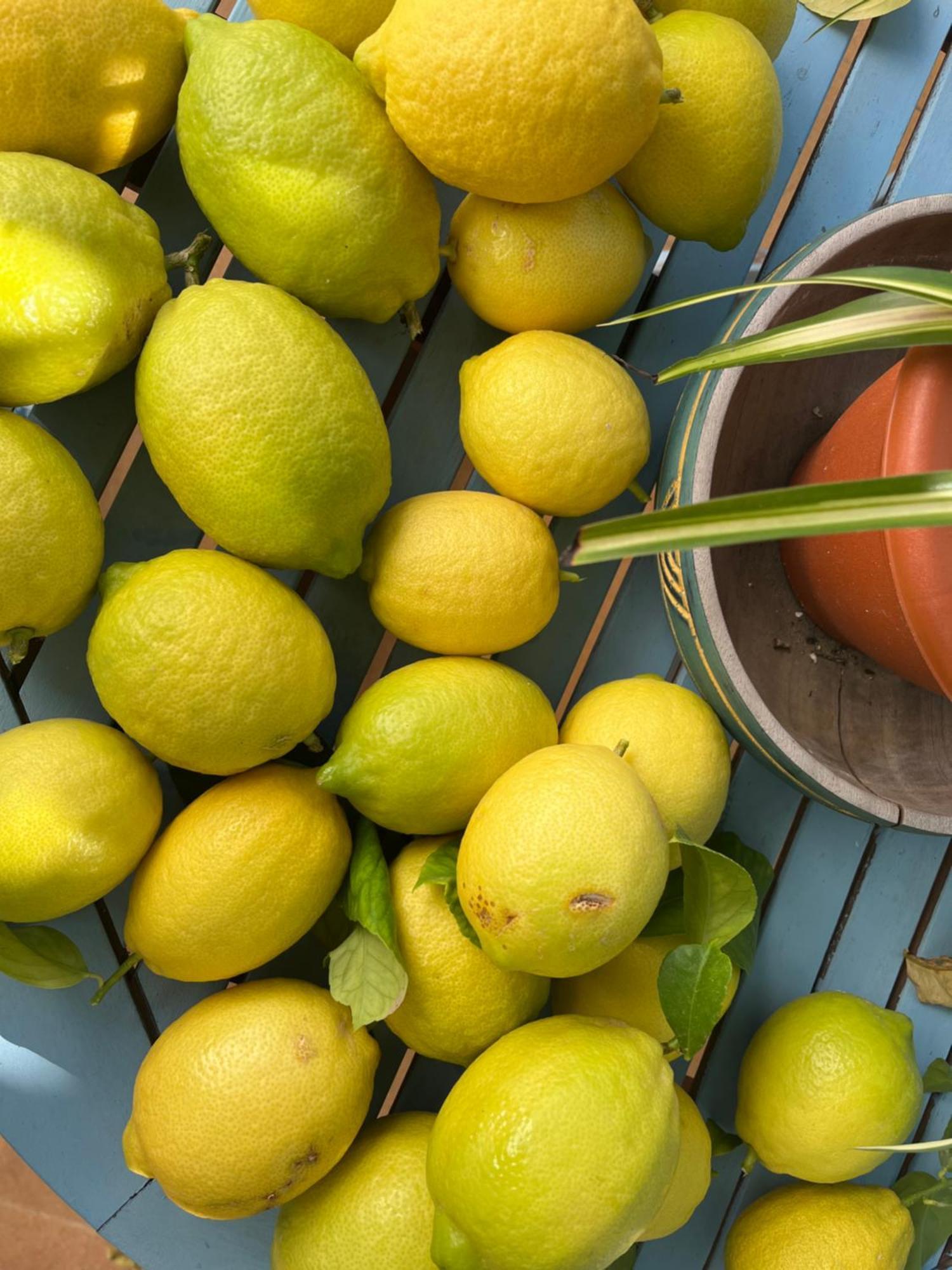 Willa El Patio Del Limonero Écija Zewnętrze zdjęcie