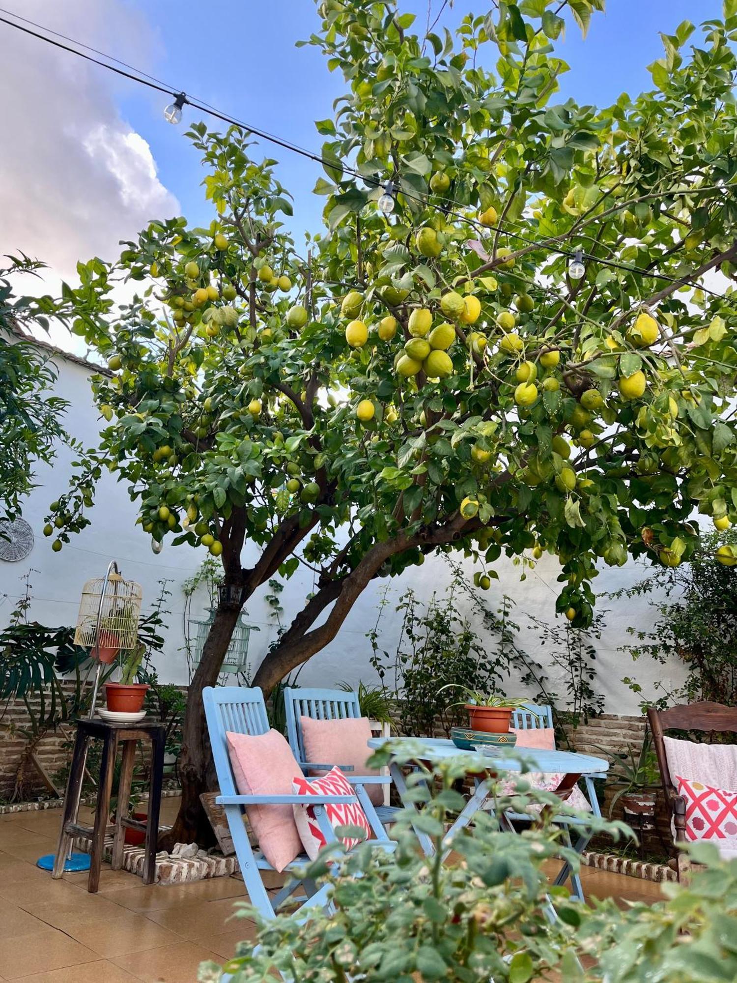 Willa El Patio Del Limonero Écija Zewnętrze zdjęcie